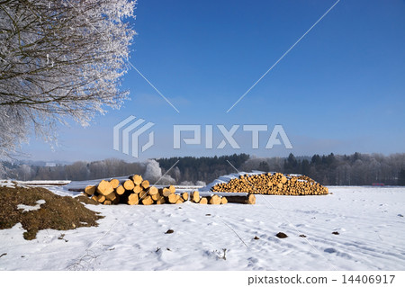 Round Wood 14406917