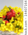 Ranna草莓 14407164