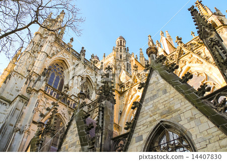 Cathedral in the  city of Den Bosch. Netherlands 14407830