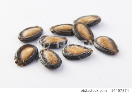 Melon seed, melon seeds, 14407874