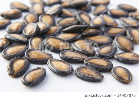Melon seed, melon seeds, 14407876
