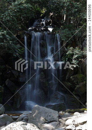 Masahito的瀑佈公園的人瀑布和周圍的山茶花 14408696