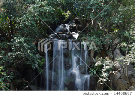 Masahito的瀑佈公園的人瀑布和周圍的山茶花 14408697