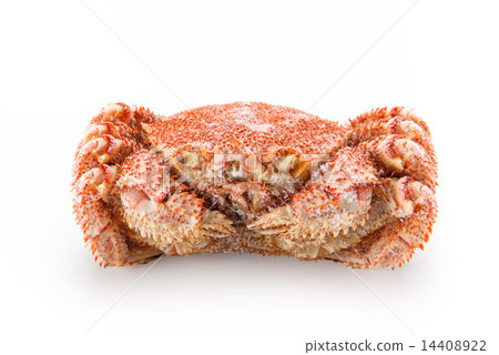 Frozen hair crab Frozen hair crab 14408922