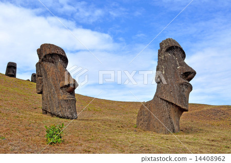 Moai statue of Easter Island 14408962