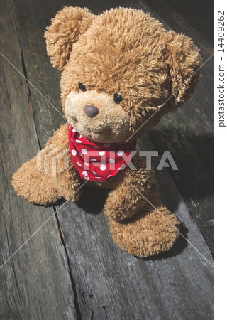 Vintage teddy Bear 14409262