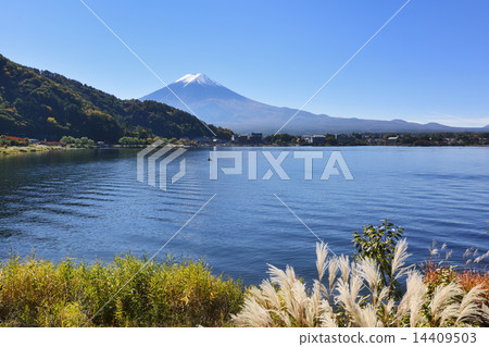 Kawaguchiko and Mt. Fuji Kawaguchiko and Mt. Fuji 14409503