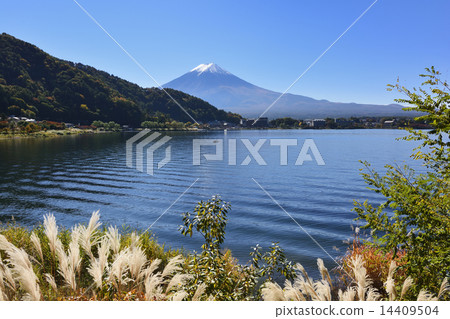Kawaguchiko and Mt. Fuji Kawaguchiko and Mt. Fuji 14409504
