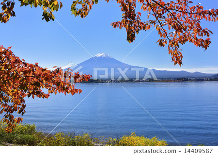 Kawaguchiko and Mt. Fuji 14409587