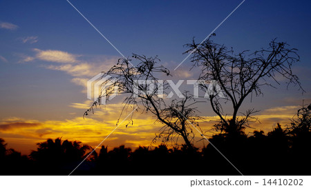 Sunset sky with cloud 14410202