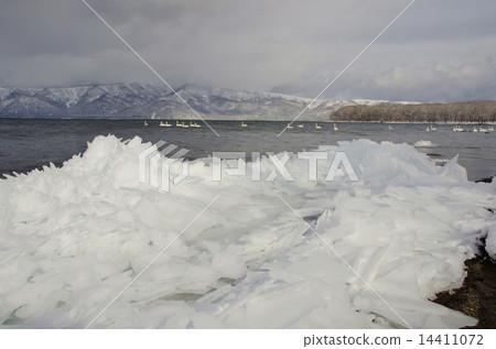 Kussharo Lake ice crest and the deer swan winter landscape Akan National Park 14411072