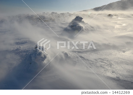 Strong wind snowy field 14412269