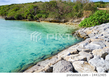 沖繩縣Hatomajima景觀的Hatoma港口 14412405