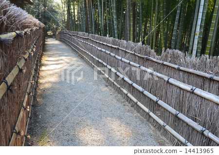 竹林/圍欄（Kairakuen /茨城縣水戶市三河） 14413965