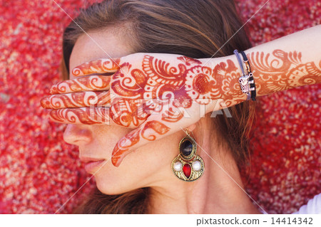 Mehendi on the hand of pretty girl 14414342