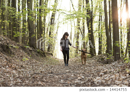 Young woman walking with dog in forest 14414755