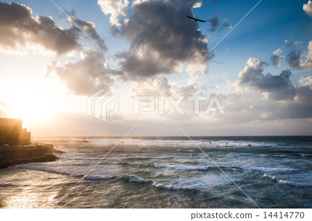 Spectacular dramatic cloudy sky with bird Spectacular dramatic cloudy sky with bird 14414770