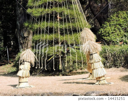 Straw Botch / Jindai Botanical Garden 14415251