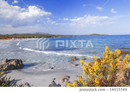 ocean coastline in Costa Smeralda, Sardinia, Italy ocean coastline in Costa Smeralda, Sardinia, Italy 14415349