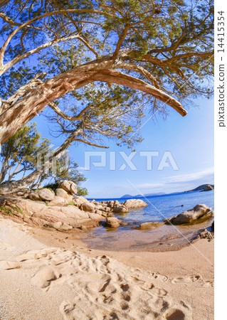 ocean coastline in Costa Smeralda, Sardinia, Italy ocean coastline in Costa Smeralda, Sardinia, Italy 14415354