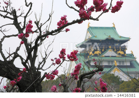 大阪城和梅花 14416381