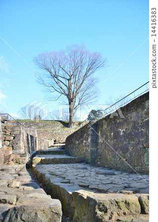 金山城堡遺址 14416383