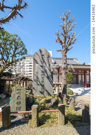 Chiko Yamagataji 14416962