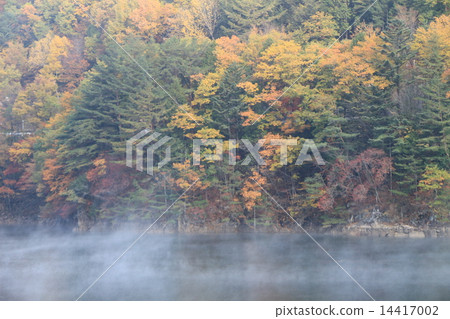 Late autumn 14417002