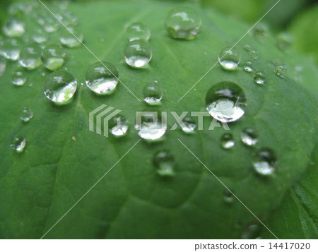 Water ball Water ball 14417020