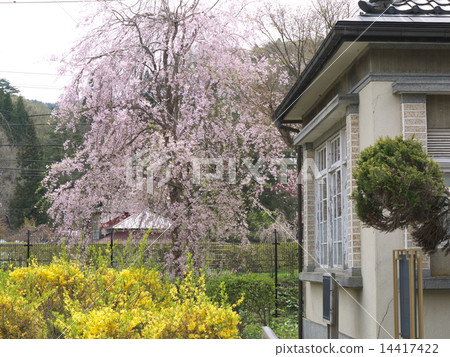 Michinoku Okanawa·大米淨水廠 Michinoku Okanawa·大米淨水廠 14417422