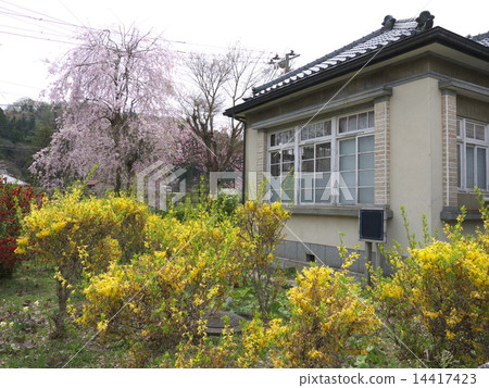 Michinoku Okanawa·水稻淨化 Michinoku Okanawa·水稻淨化 14417423