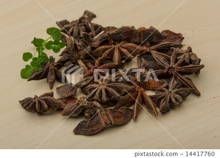 Star-anise Star-anise 14417760