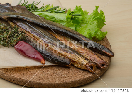 Lamprey Lamprey 14417838