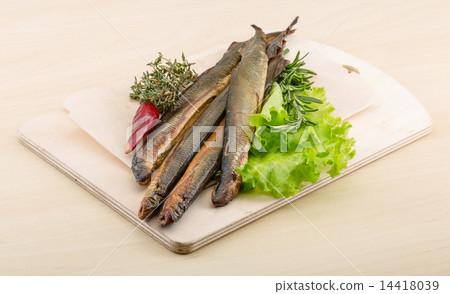 Lamprey Lamprey 14418039