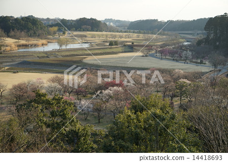 Kairakuen公園 Kairakuen公園 14418693