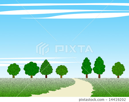 Sky and tree and field 14419202
