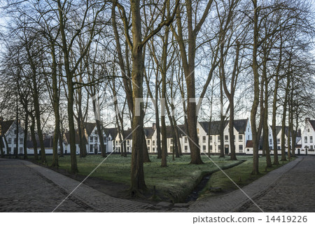 Beguinage修道院的早晨 Beguinage修道院的早晨 14419226