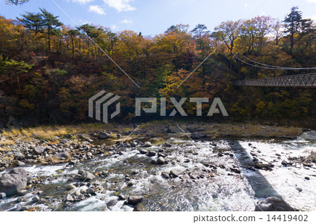 The Broomlet River and autumn leaves under the suspension bridge of Nasushiobara Nishiwa 14419402