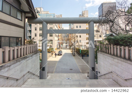 Shiba Ojinjinga 14422962