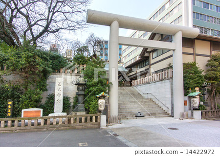 Shiba Ojinjinga 14422972