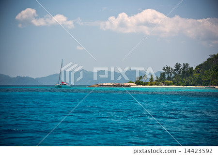 Tropical beach at Mahe island Seychelles 14423592