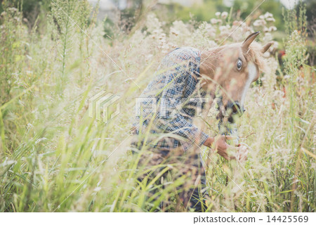 horse mask absurd man 14425569