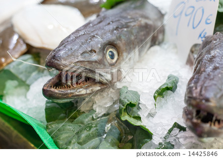 Three frozen fish for sale at a market, La Boqueria Market, Barcelona, Catalonia, Spain 14425846