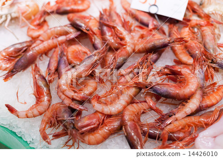 Display frozen prawns for sale at a market, La Boqueria Market, Barcelona, Catalonia, Spain 14426010