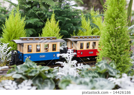 Toy train surrounded by conservatory Christmas green plants at Allan Gardens, Toronto, Ontario, Canada 14426186
