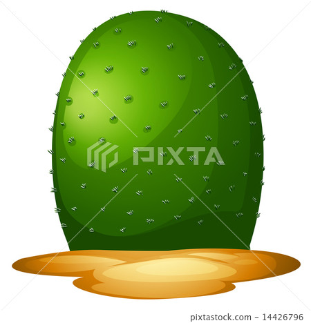 A plain cactus A plain cactus 14426796