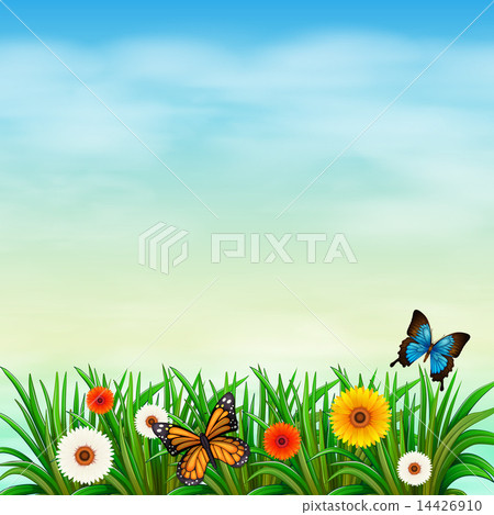 A flower garden with butterflies 14426910