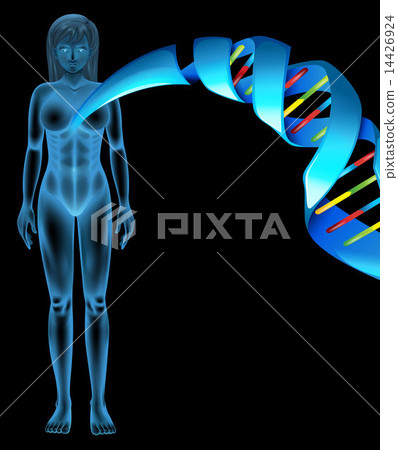 Deoxyribonucleic acid 14426924