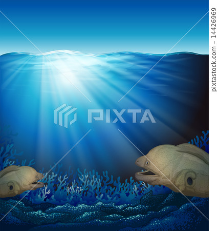 Fishes in the ocean 14426969