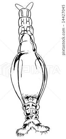 Rotifer Rotifer 14427045